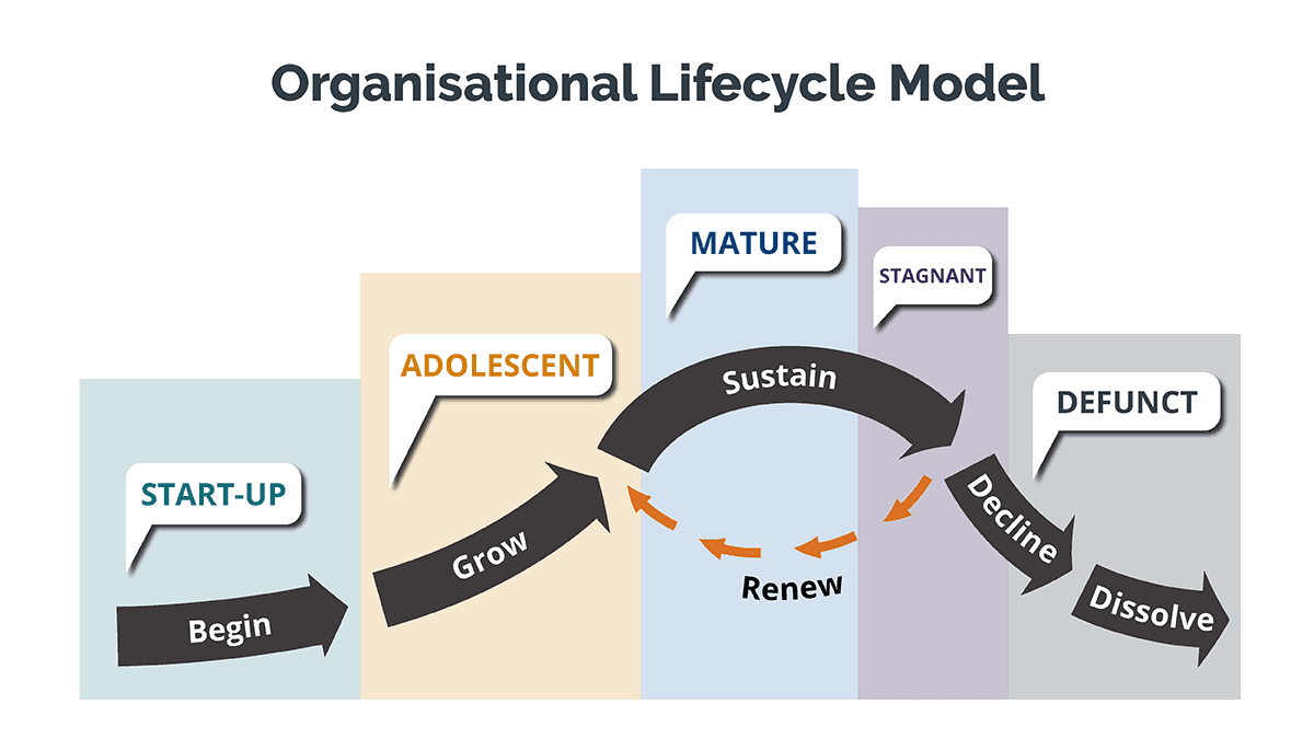 Organisational Lifecycle Model