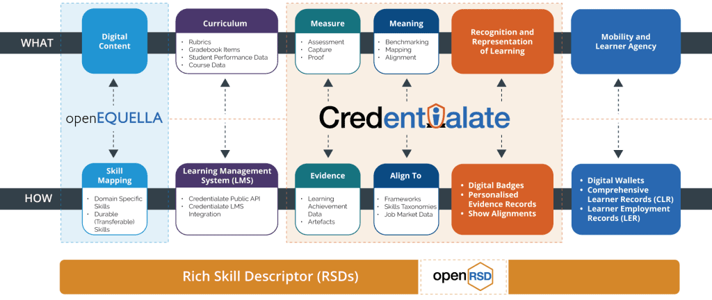 Edalex Skills Continuum